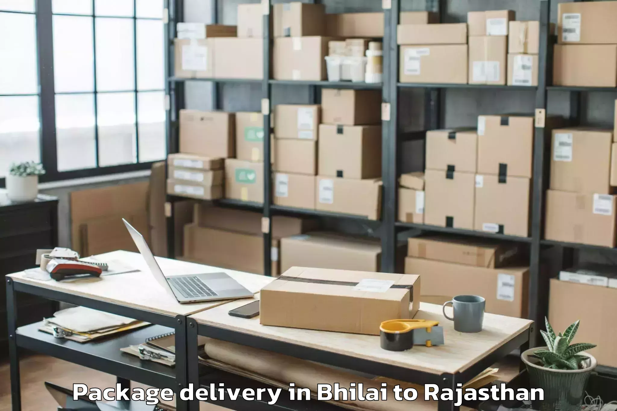 Easy Bhilai to Pushkar Package Delivery Booking